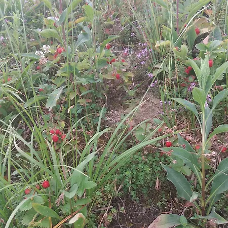 верховинський Holiday home