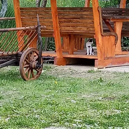 верховинський Holiday home