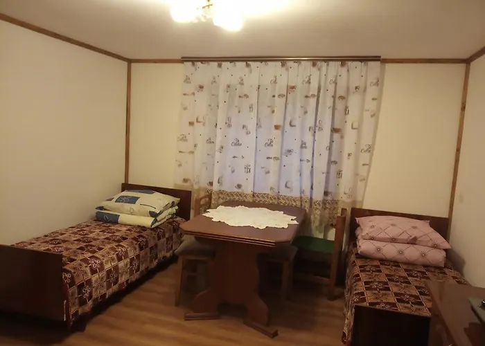 верховинський Bukovets