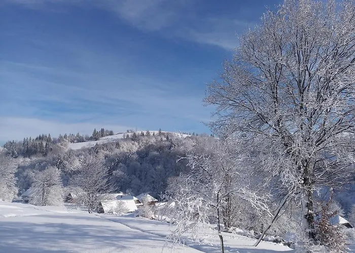 верховинський Feriehus