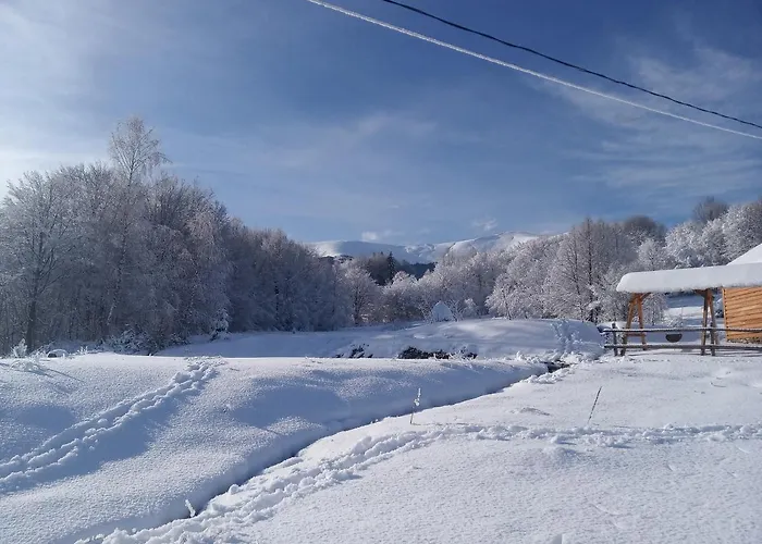 верховинський Bukovets