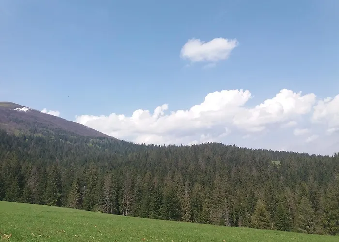 верховинський Feriehus