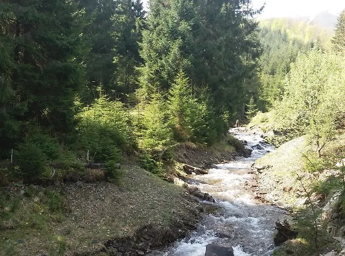 Feriehus верховинський