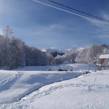 верховинський Bukovets