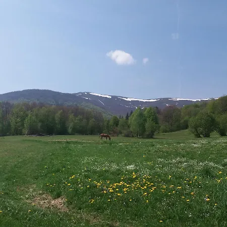 Semesterbostad верховинський Bukovets